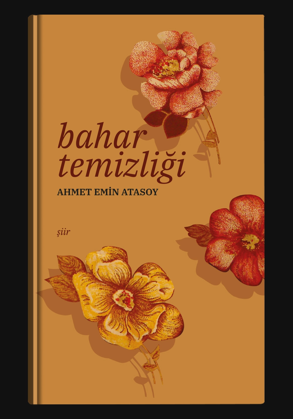 book cover design, cover design, book cover, diseño de cubierta de libro, diseño de cubierta, cubierta de libro